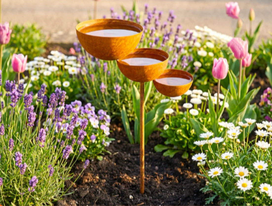 🐦Final Hours Flash Sale £12.99!!⚡ Rain Catcher - Plant Support 🌧️Metal Garden Ornament
