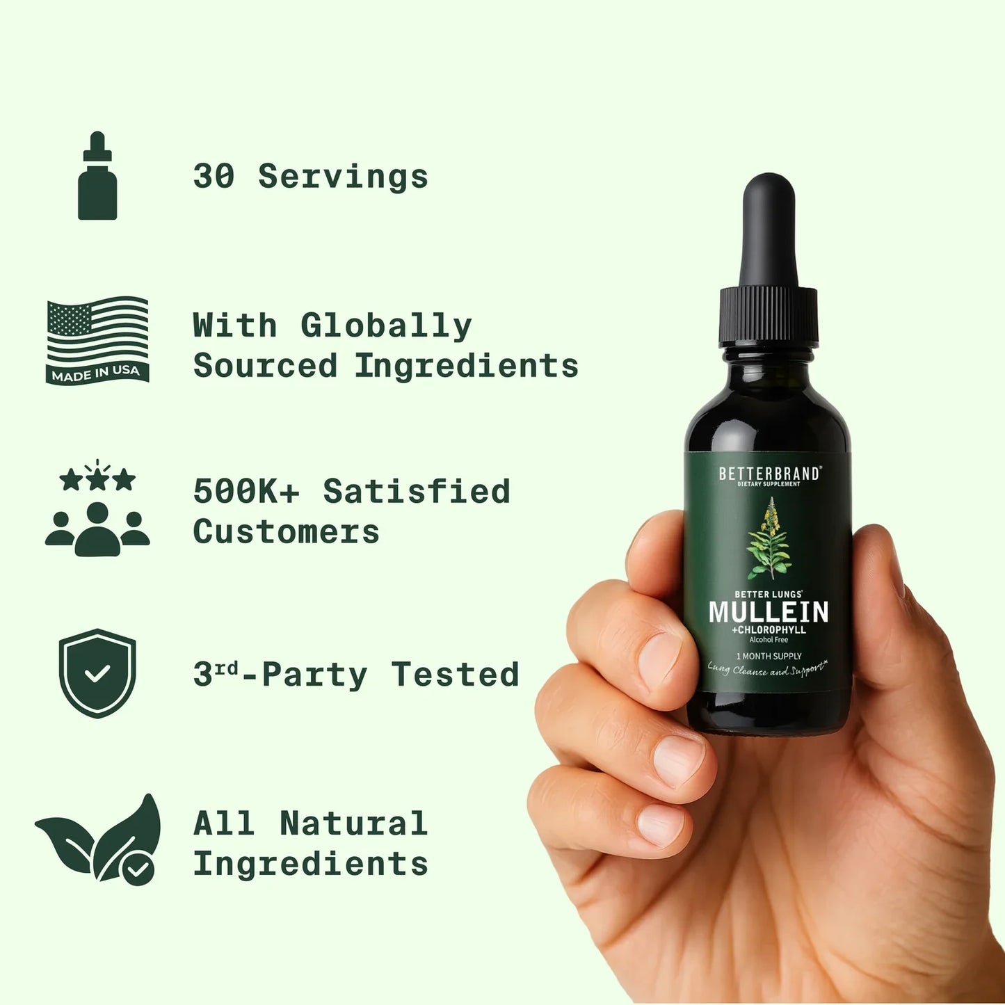 Natural Lung Cleanse Supplement – Mullein & Chlorophyll Formula
